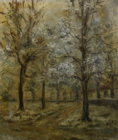 PICTURĂ - AUTOR neidentificat, Peisaj de iarnă timpurie