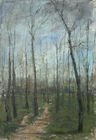 PICTURĂ - AUTOR băimărean, Pădure