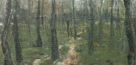 AUTOR băimărean, Pădure [1]