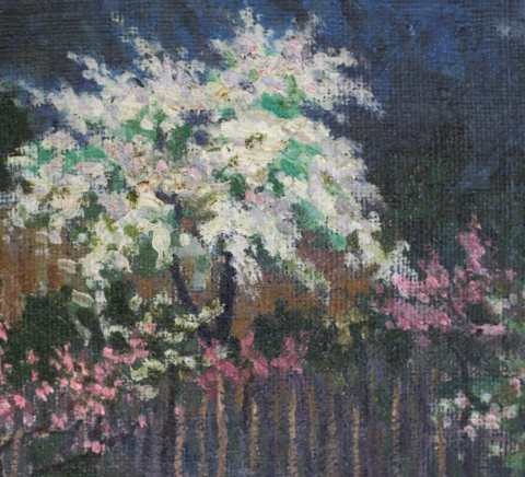 AUTOR băimărean, Peisaj nocturn cu pomi înfloriți [1]