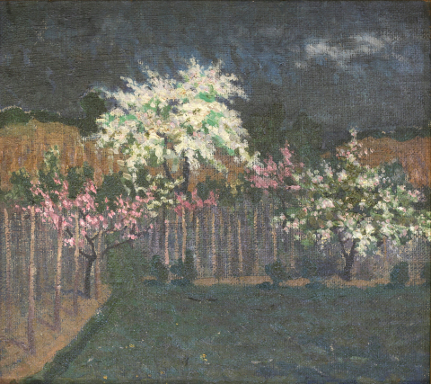 PICTURĂ - AUTOR băimărean, Peisaj nocturn cu pomi înfloriți