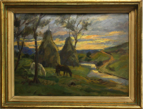 Emil CORNEA, La apus [3]