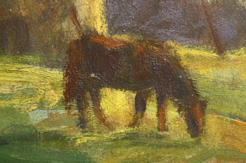 Emil CORNEA, La apus [1]