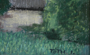 TÓTH István, Magazin în Seini [5]