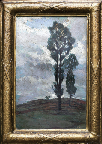 Nicolae TEMPEANU, Plopi [2]