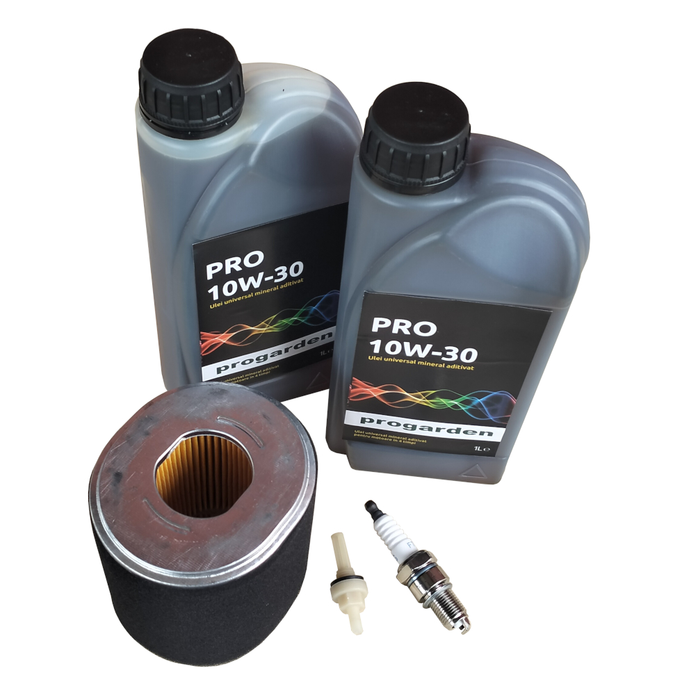 Import - Progarden Pachet revizie motor benzina 188F, 190F, 192F