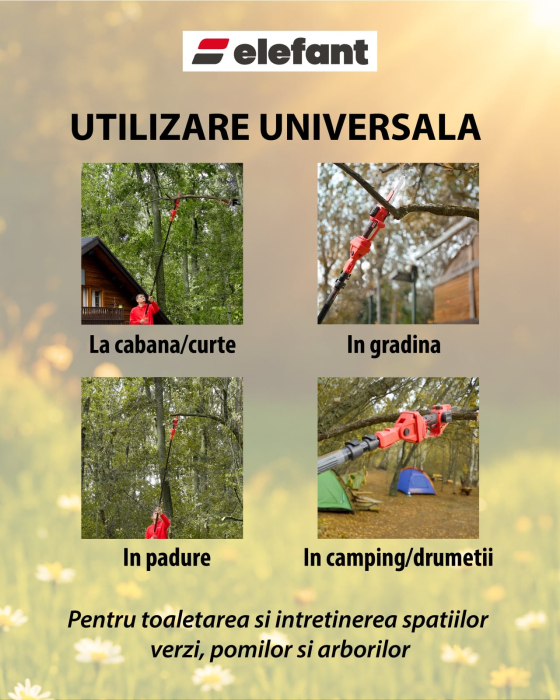 Set mini drujbă 8” cu tija extensibila pana la 2,5 m ELEFANT ESBS-8EP2.5 | Brushless, 20V 4Ah [5]