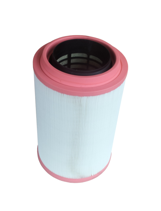 Ansamblu Filtru Aer pentru YDSD440S3 [2]