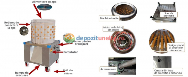 Deplumator pasari WQ-50, Micul Fermier GF 1137 [10]
