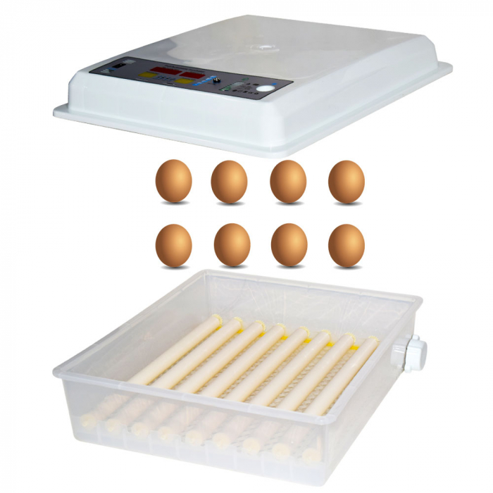 Incubator automat MS-36 capacitatea sa este de 36 de oua de gaina (12V/220V) [9]