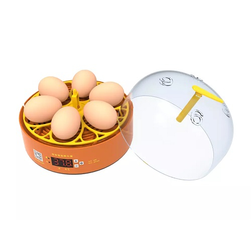 Incubator automat MS-6 (12V/220V) [3]