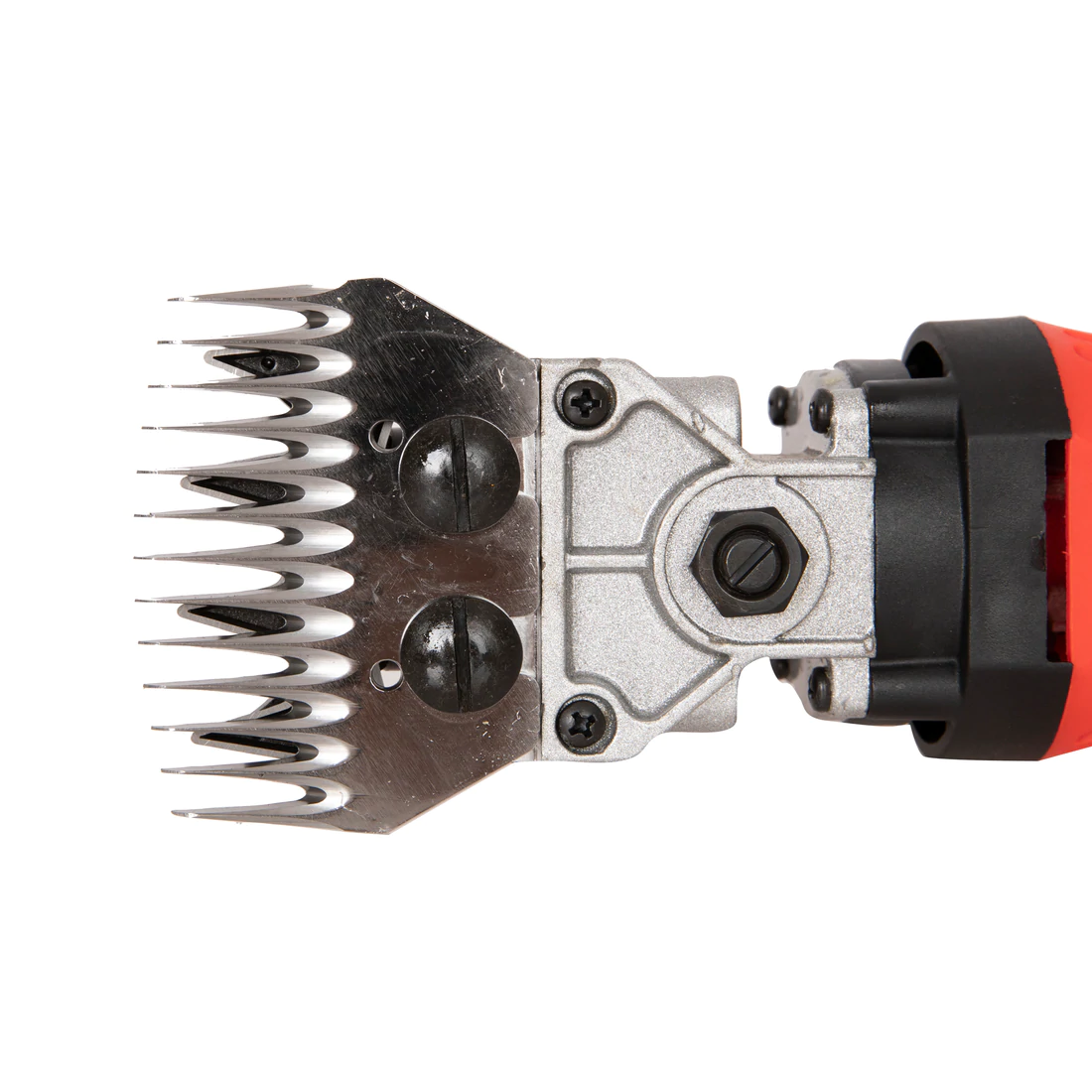 Masina de tuns oi electrica Nakamoto, 1000W, 2400 RPM, CMP0950 [6]