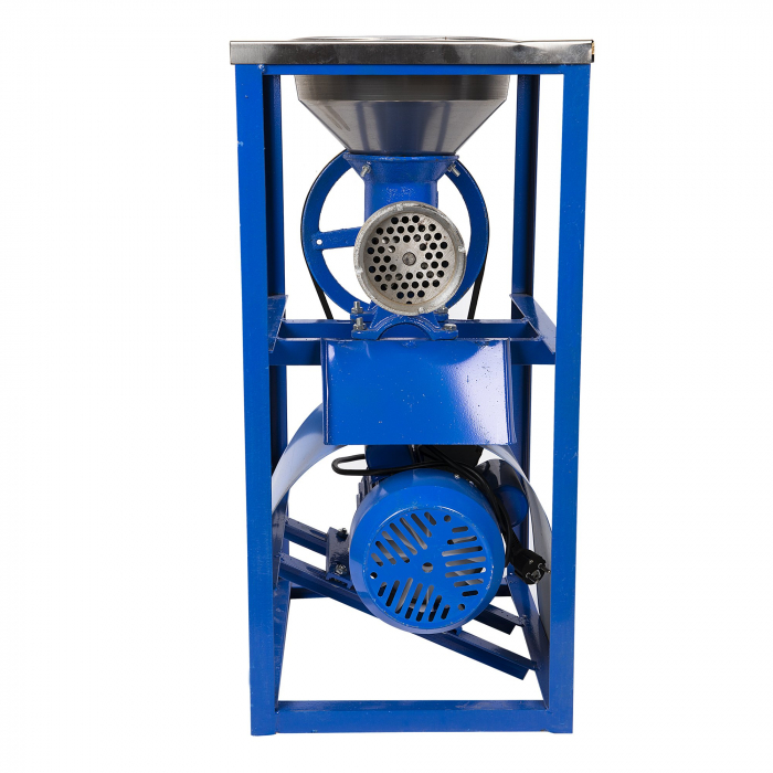 MASINA TOCAT CARNE NR.32, MOTOR ELECTRIC 2200W CMP 277, PALNIE MARE SI MASUTA, CADRU FIER model 2021 [4]