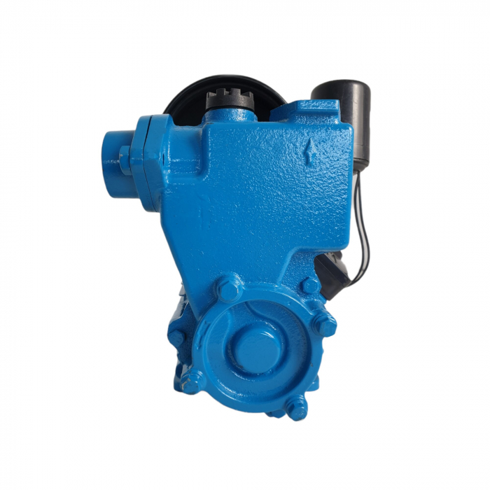 Mini Hidrofor Aquatic Elefant PS170 fonta, 0.37 kW, Turbina bronz, Max 1.8 bari [6]