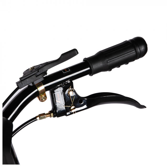 Motocultor 7CP,212CC+plug+adaptor+roti metalice [5]