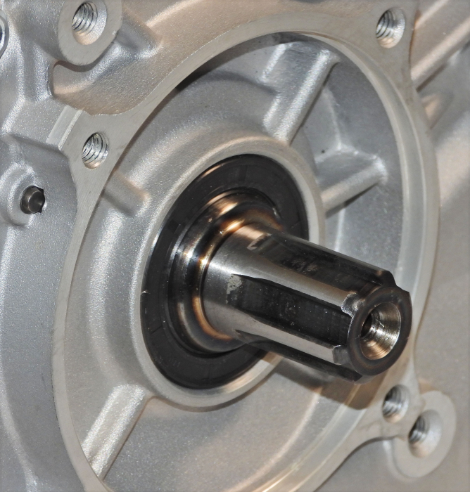 Panda PD188F Motor benzina 8.2kW, 389cc, 1C 4T OHV, EU V, ax canelat [3]