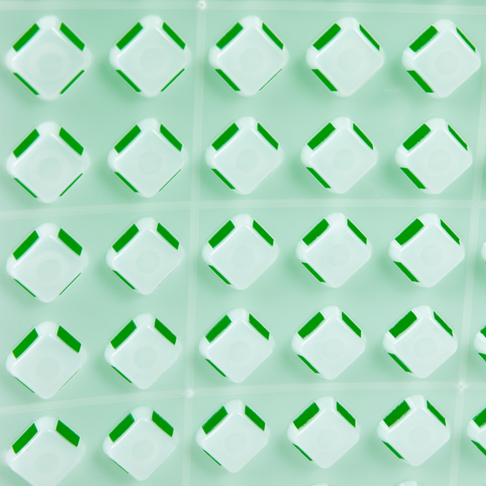 Pompa de stropit cu acumulator, Micul Fermier 16L [8]