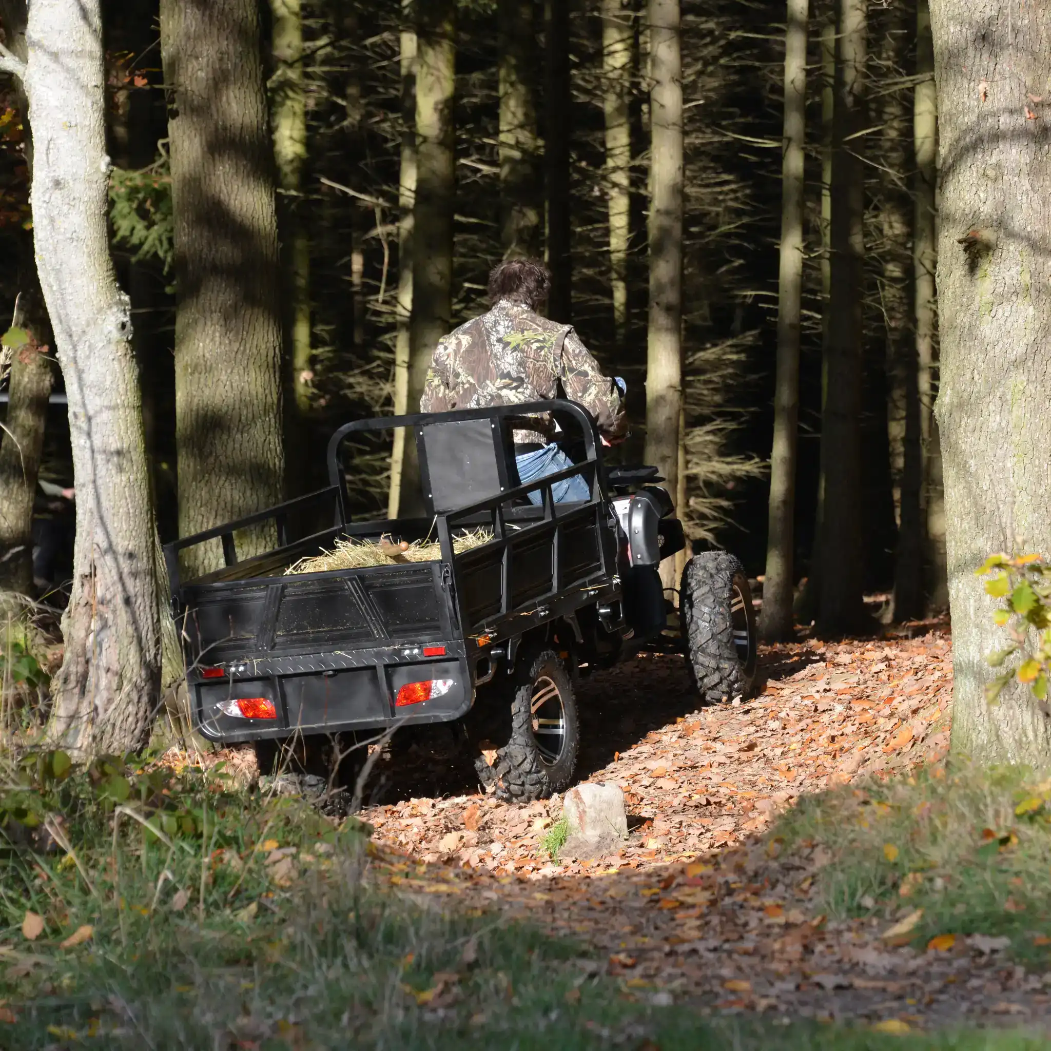 ATV electric utilitar HECHT FARMIS, 3000 W, 72V / 52Ah, benă basculantă [7]