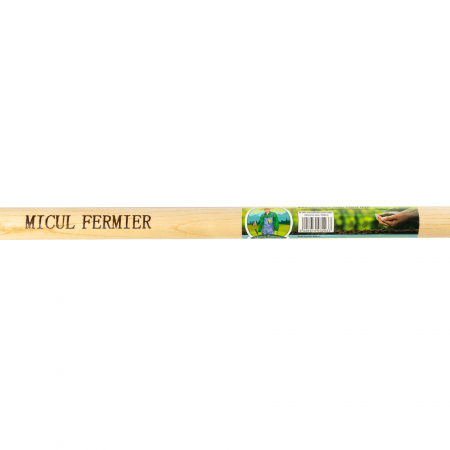 Cazma(Harlet) pentru sapat, 290x217x1.5mm, 1520mm [4]