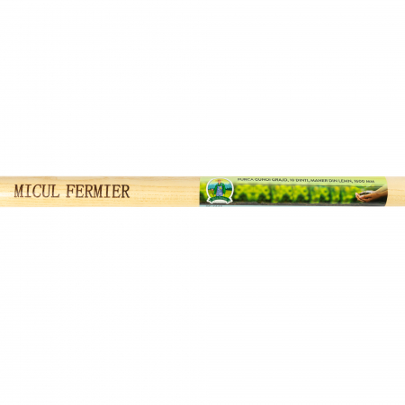 Furca gunoi grajd, 10 dinti, maner lemn, 1600mm [3]