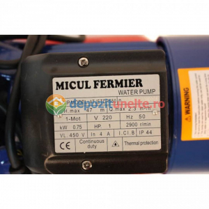 Hidrofor AUTO-JET DP550 Micul Fermier GF-0759 [6]