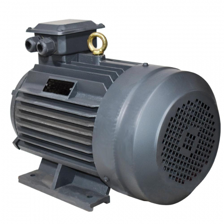 Motor TEHNOMS 11 Kw, 50Hz, 1500 rpm, 15.4A, 380V [2]