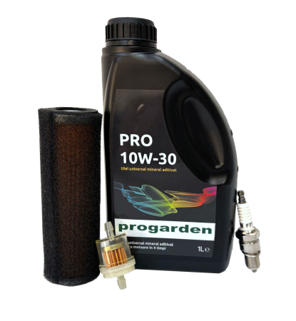 Import - Pachet revizie motor benzina Loncin LC168F-2H