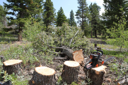 Motoferastraie - Redback EA216 ferastrau cu lant 400mm, 120V, solo