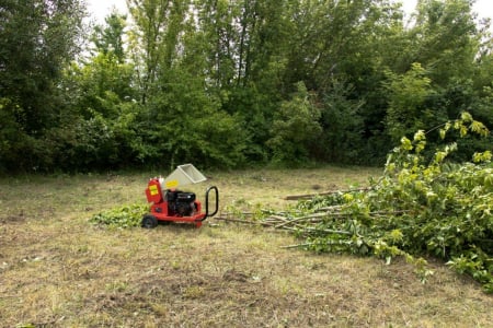 Tocator de crengi AM-60BD MAX, motor 7CP, ∅ max. 60 mm, Ucraina [9]