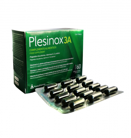 ATACHE - Plesinox3A