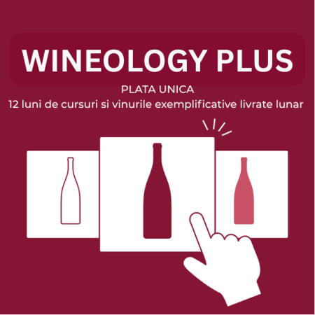 Abonamente - Abonament Vin si Curs DespreVin.ro