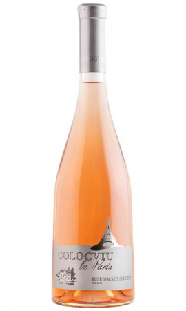 Cramele Cotnari - Cramele Cotnari - COLOCVIU LA PARIS BUSUIOACĂ DE BOHOTIN