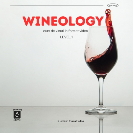 Cursuri - WINEOLOGY - Curs de vinuri în format video - LEVEL 1