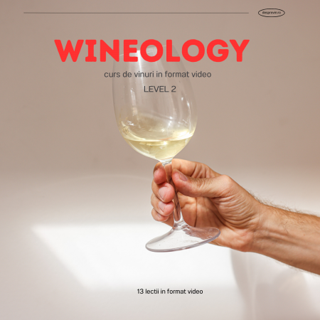 Cursuri - WINEOLOGY - Curs de vinuri în format video - LEVEL 2