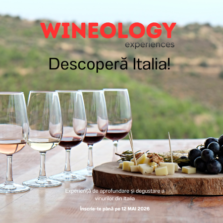 Cursuri - WINEOLOGY Experiences - Descopera Italia
