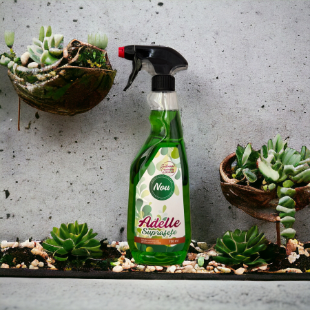 Articole HoReCa - Adelle Solutie Concentrata Suprafete 750ml