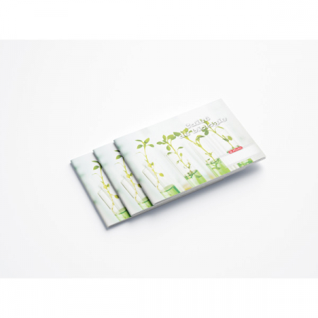 Caiet Biologie Herlitz 24 File