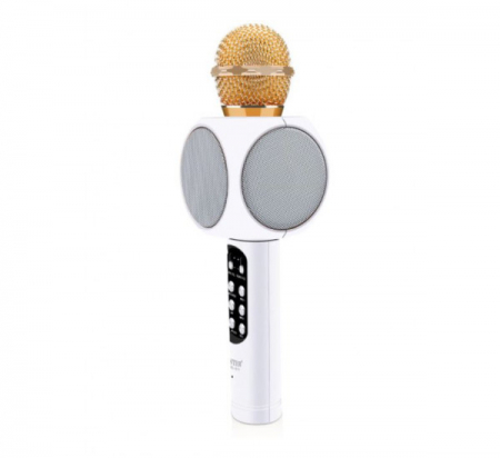 Utile - Microfon Pentru Karaoke Disco Led,Bluetooth,Boxa 3w,Usb