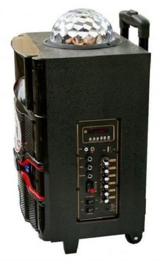 Boxe portabile RTS 10-1 BT, bluetooth, glob disco , afisaj, karaoke ,baterie litiu , negru [1]
