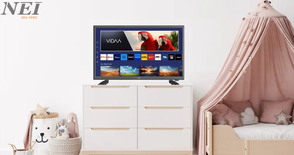 Televizor HD SMART VIDAA NEI 24NE4900, 60 cm, Clasa E, Negru [4]