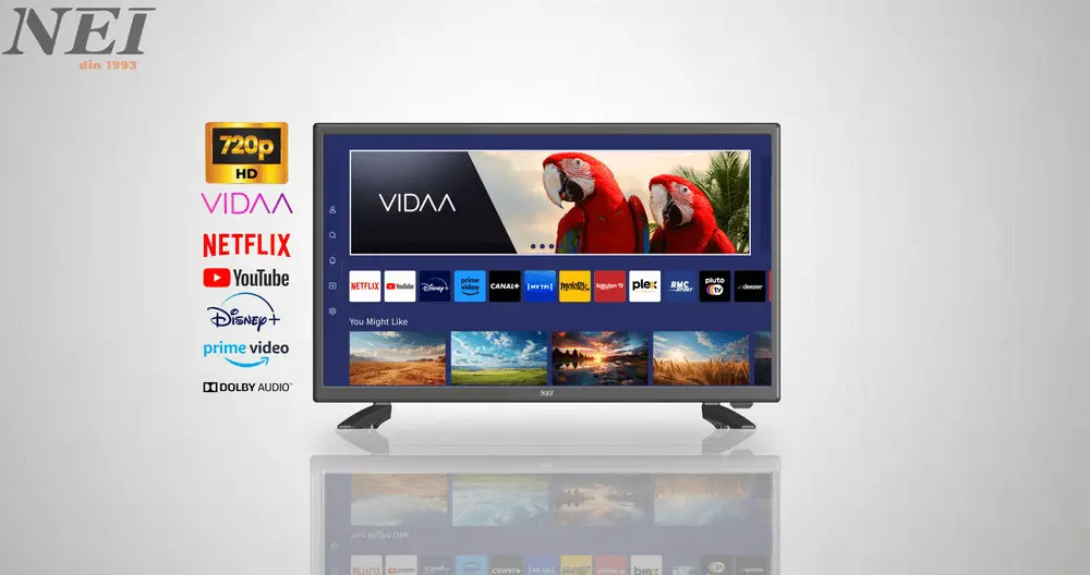 Televizor HD SMART VIDAA NEI 24NE4900, 60 cm, Clasa E, Negru [2]