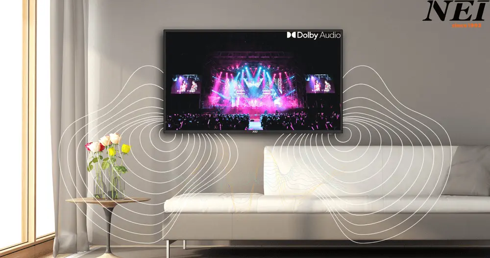 Televizor HD SMART VIDAA NEI 24NE4900, 60 cm, Clasa E, Negru [7]