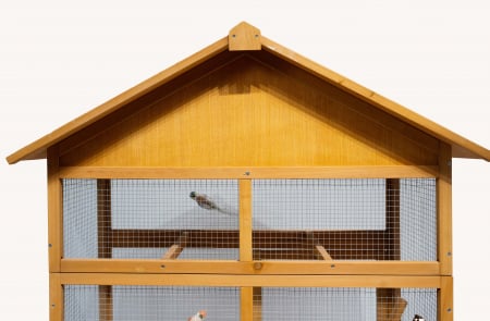 Voliera din lemn pentru porumbei si papagali BUNTZ, cu acoperis rezistent, usi duble si plasa metalica, ideala pentru papagali si canari, 106 x 57 x 165 cm [5]