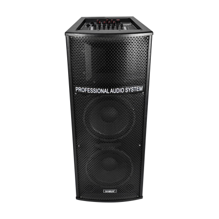 Set boxe audio Samus Twin Sound 22 Pro, 120 W [4]