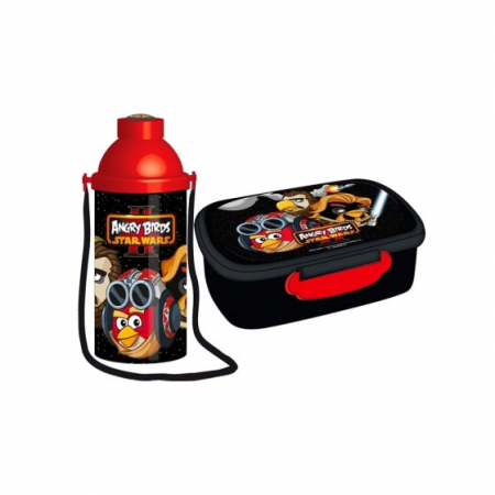 Caserole - Set cutie sandwich si recipient lichid, Angry Birds, Multicolor