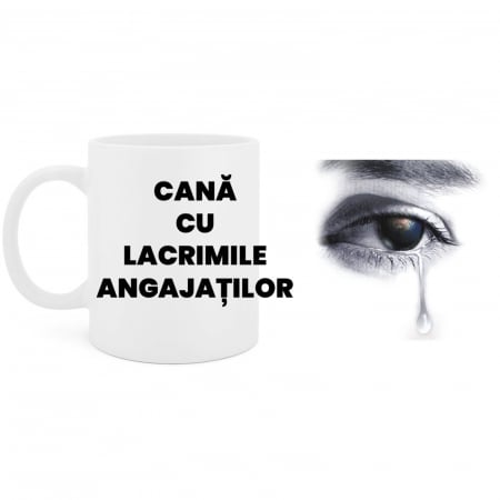 Cana cu lacrimile angajatilor-Deyu [2]