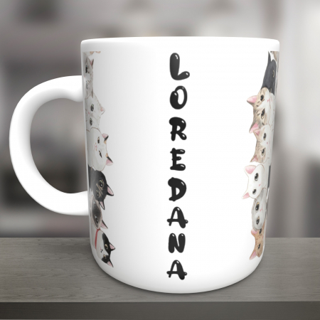 Cani Personalizate - Cana Pisici cu nume-Deyu