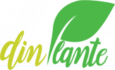 www.dinplante.ro