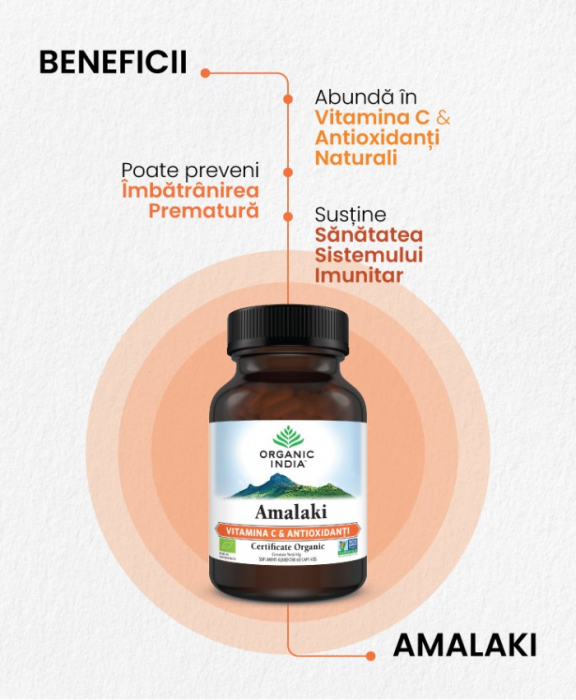 Amalaki - Vitamina C & Antioxidanti Naturali 60cps Organic India [2]