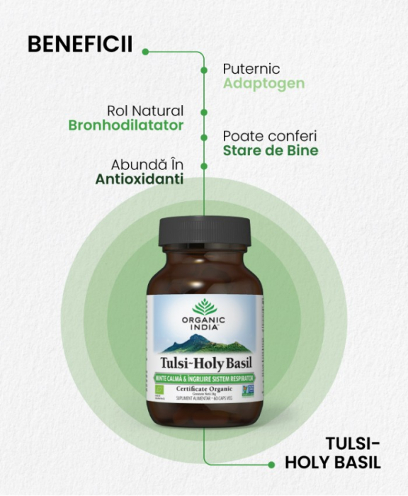 Tulsi - Minte Calma & Ingrijire Sistem Respirator 60 caps Organic India [2]